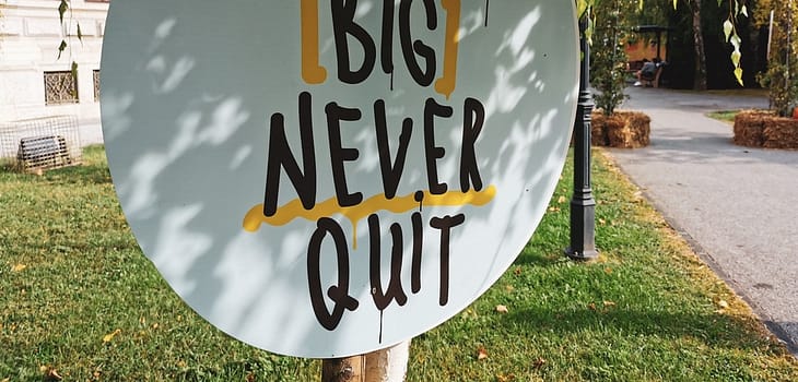 Words in the wild. Sign, text, inspirational, motivational. Dream big, never quit.